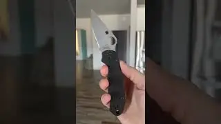 Spyderco Para 3 Scale and Hardware Swap 