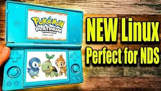 Anbernic RG DS + NEW Linux OS: Perfect NDS Emulation?