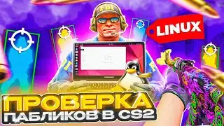 ✨ Прошел ПРОВЕРКУ на ЧИТЫ на LINUX - АДМИНЫ ВАХ*Е! ПРОВЕРКА ПАБЛИКОВ КС2!