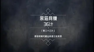 黑猫网赚36计第33计：微信视频号最新搬砖赚钱项目