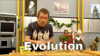 Qu'est-ce que la théorie de Darwin ? - C'est Pas Sorcier