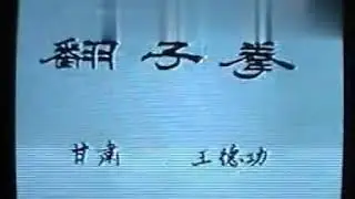 一代翻子拳大师王德功老师60年代比赛珍贵影像资料