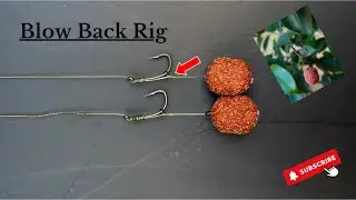Blow Back Rig for Carp Fishing by Foris Fisherman Carp Hunter