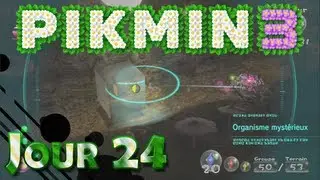 Let's Play FR HD Pikmin 3 - Jour 24
