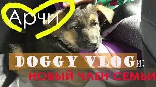 Наш новый член семьи // ВЛОГИ 0+