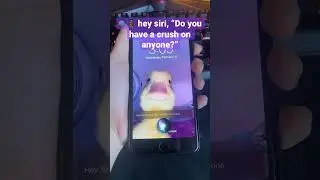 🗣📱 hey siri, “Do you have a crush on anyone?”