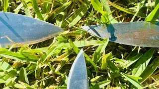 My Hunting and Bushcraft Knives  