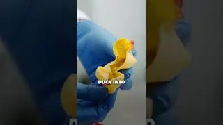 Rubber Ducky - The little hole in the bottom  #mould #mouldillness #healthandsafety #childrenshealth
