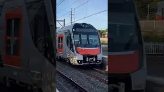 NIF D Set passing Sutherland #shorts #railway #train #subscribe #viral #nif #new #sydney #railroad