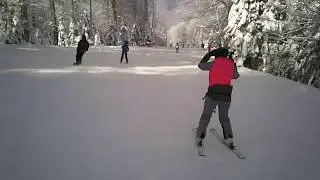 Итеко#60. 14.02.2020г. Отдых водителя...Покатушки на лыжах...