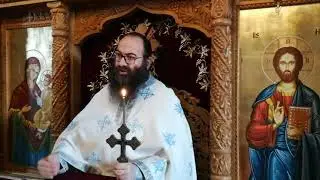 Părintele Macarie Banu  - Predica Sfântului Proroc, Înaintemergator si Botezător Ioan (07.01.2021)