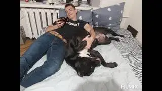 КАНЕ-КОРСО.встреча двух сердец. Любовь навсегда!!! АББИГЕЛЬ