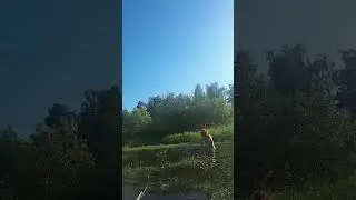 Насыщенный Open Air😍🐾🐾🌄🏞🌞Fulfilling Hiking😃🌄