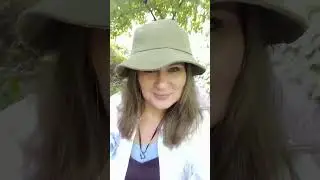 Забрели в чащу и заблудились