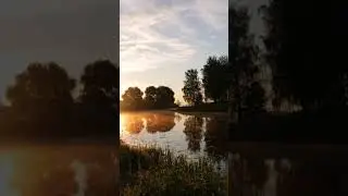 Туман и яркий солнечный свет над поверхностью реки