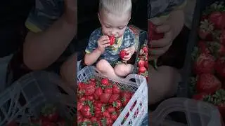 ради этого стоит ждать лето 😍🫶