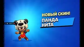 Купил скин-бравл старс