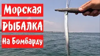 Нашел новую наживку для успешной ловли рыбы. Тот случай, когда хлеб больше не работает.
