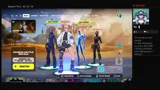 Playing fortnite with fans