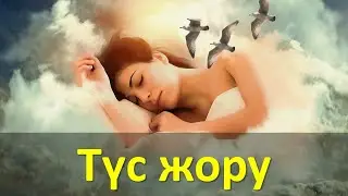 Түс жору (2022)