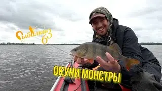 ОКУНИ МОНСТРЫ!!! ПОПАЛ НА АКТИВНЫЙ КЛЕВ ОКУНЯ  ЗАЧЕТНАЯ РЫБАЛКА НА ВОЛГЕ