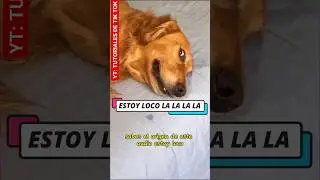 ❤️ EL ORIGEN DEL AUDIO ESTOY LOCO LA LA LA