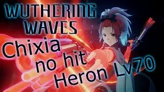 WuWa Chixia No hit Tactical Hologram lv 4