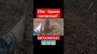 Добротный металл!!! #вторсырье #чермет #деньгиизхлама #железо #металлоискатель