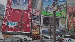 Akihabara - Ameyoko