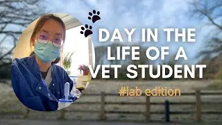 Day in the life of a vet student (Cambridge University) lab work vlog 9 #SHORTS