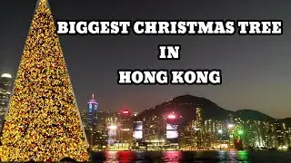 Biggest Christmas Tree In Hongkong//weekend vlog
