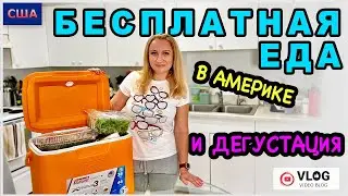 Бесплатная еда в Америке/ Дегустация продуктов / Помощь и поддержка населения / США/ Флорида /Влог