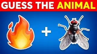Guess The Animal By Emoji 🐵🦁🐶 Animal Emoji Quiz | Quiz Dino