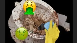 LAVANDO O BANHEIRO  ESTAVA UM NOJO!  CUIDA DONA PATROA