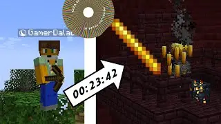 Der Minecraft weg zur NETHERFESTUNG! | ItemSpeedrun - Dalabo