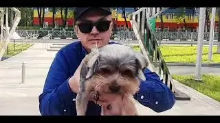 Про Ехан Палыча