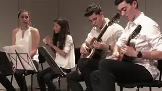 La Volta in Vienna (compilation)