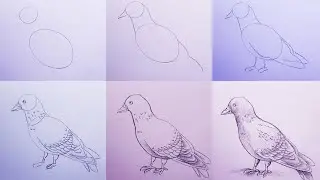 easy pigeon drawing tutorial step by step 😍 | how to draw pigeon