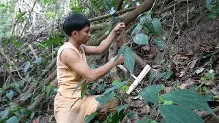 Create Awesome Primitive Rat Trap Using Wood to Catch Rats and Squirrel in the Forest
