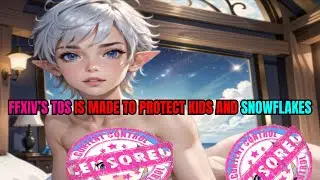 FFXIV's TOS IS MADE TO PROTECT KIDS & SNOWFLAKES. They gave me a warning over my adventure plate.