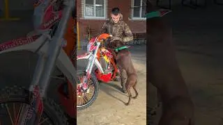 Если Оскару сказать что едем на охоту, он готов на чем угодно ехать 😂😂😂