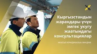 АКЫСЫЗ ЮРИДИКАЛЫК ЖАРДАМ. Кыргызстандын жарандары үчүн эмгек укугу жаатындагы консультациялар.