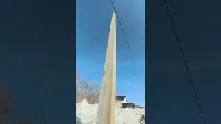 Pallets fell out of the truck and I crashed into a pole!