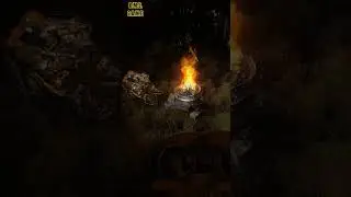 STALKER Анекдоты Сводовцы Грибоеды #38 