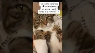 😢😢😢 #покатыбездел #лето