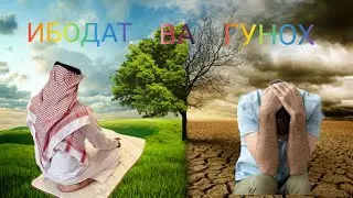 Savol ?  Gohida iymonim kuchayib ketadi Gohuda kamayib .