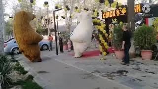 Наши будни. Чиланзар. Весёлый танец медвежат 