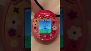 Running My Tamapix 