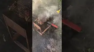 Выходные на природе