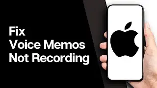 How to Fix Voice Memos Not Recording Audio on iPhone Issue Solved (2024 GUIDE)